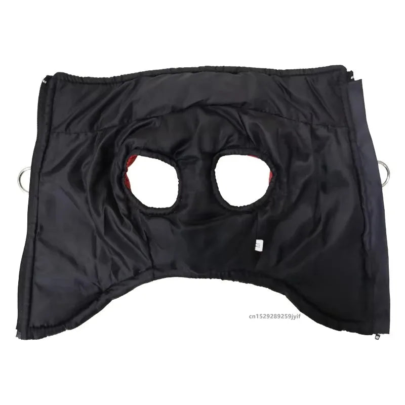 Waterproof Winter Dog Jacket | Padded Warm Pet Coat